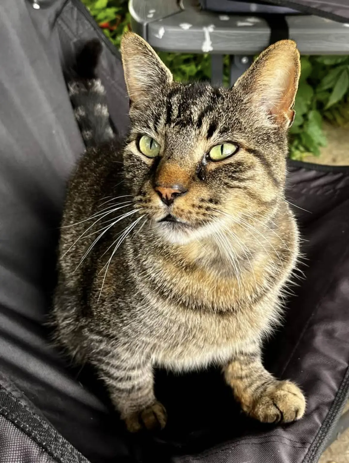 Sid