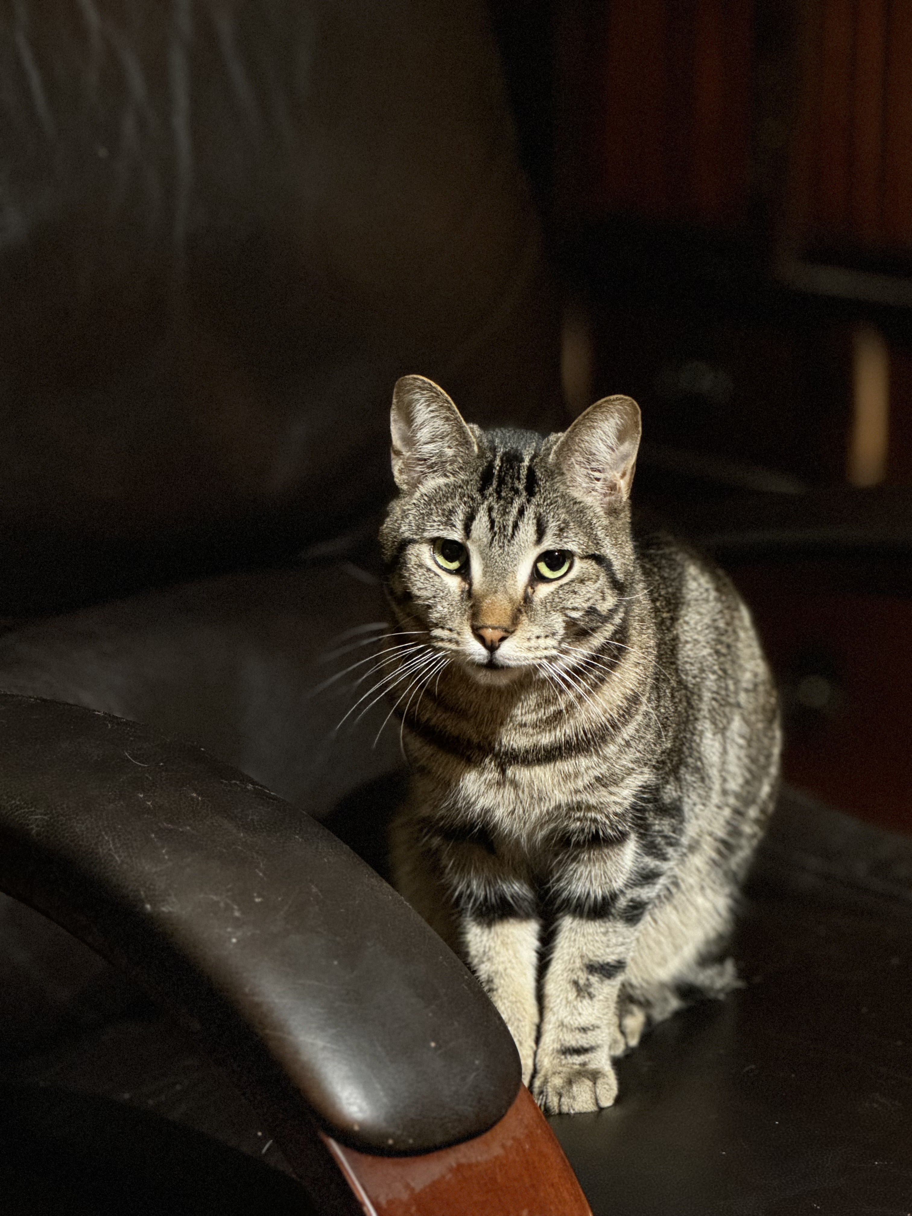 Owen
