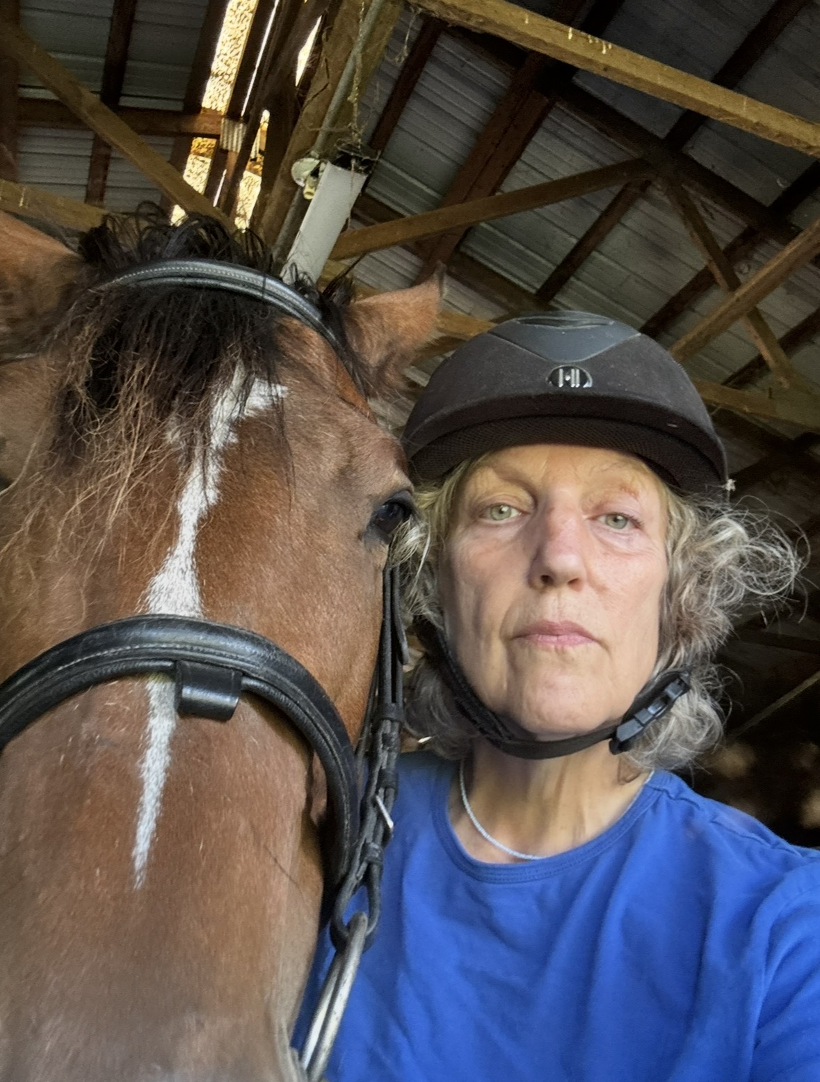 Windy's Landing rescue animals