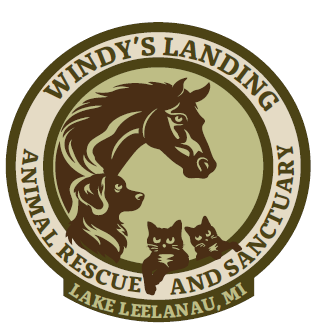 Windy's Landing Logo